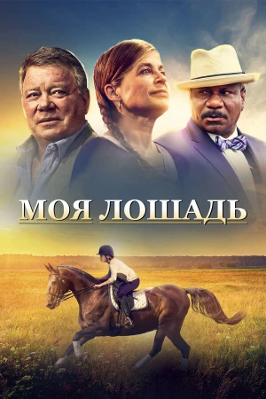 Моя лошадь в hd качестве