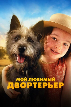 Мой любимый двортерьер в hd качестве