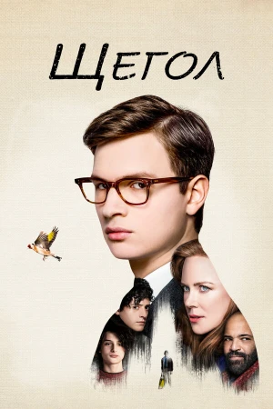 Щегол в hd качестве