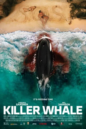 Кит-убийца в hd качестве