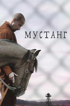 Мустанг в hd качестве