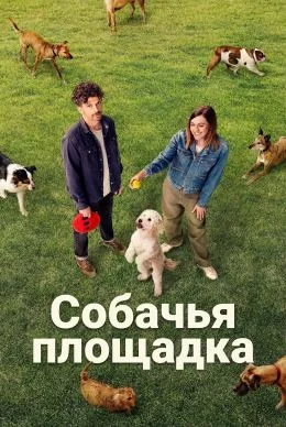 Собачья площадка в hd качестве