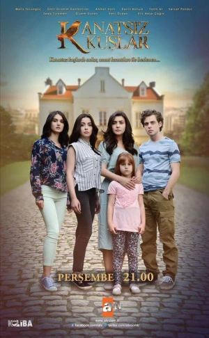 Птицы без крыльев в hd качестве
