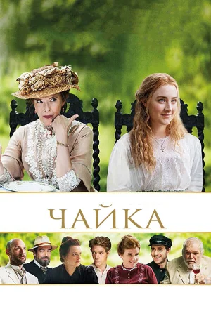Чайка в hd качестве