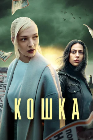 Кошка в hd качестве