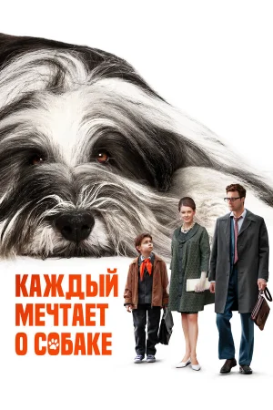 Каждый мечтает о собаке в hd качестве