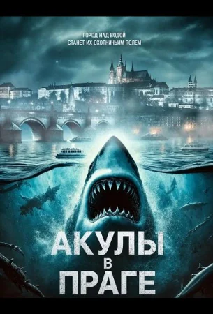 Акулы в Праге в hd качестве