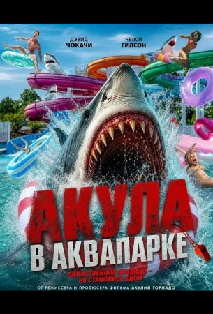 Акула в аквапарке в hd качестве
