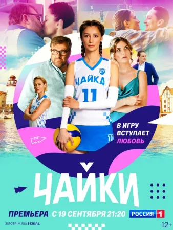 Чайки в hd качестве